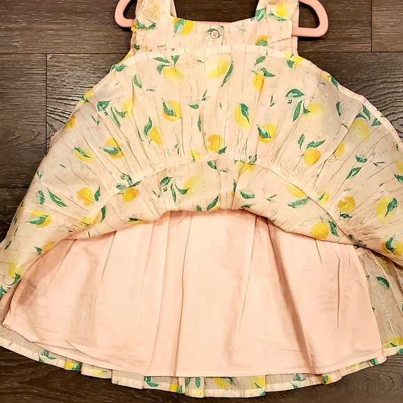 [OshKosh] Flutter Sleeve Lemon Dress - Picture 10 of 10